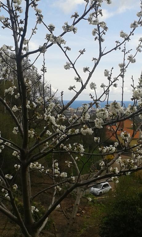 Ospitalita In Campagna Hotel Quiliano Bagian luar foto
